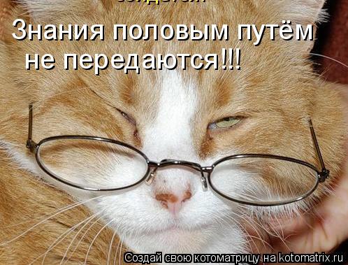 Знания половым путём не передаются!!!... Котоматрица: Знания половым путём не передаются!!!