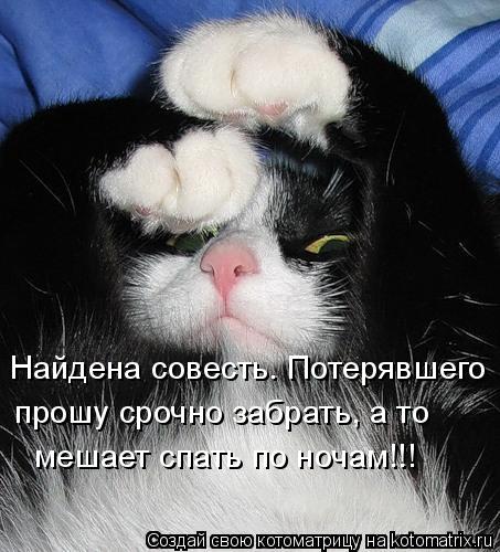 Найдена совесть. Потерявшего прошу срочно забрать, а то мешает спать по ночам!!!... Котоматрица: Найдена совесть. Потерявшего прошу срочно забрать, а то мешает спать по ночам!!!