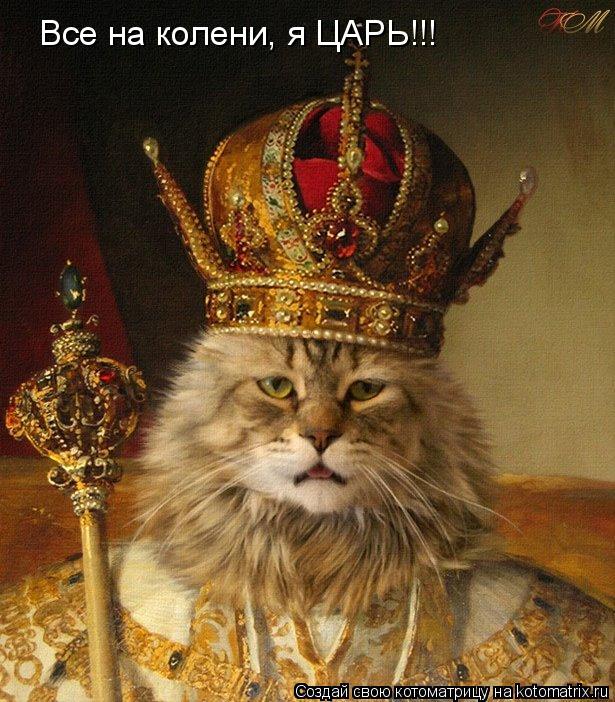 Все на колени, я ЦАРЬ!!!... Котоматрица: Все на колени, я ЦАРЬ!!!