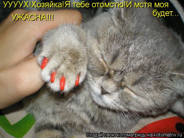 УУУУХ!Хозяйка!Я тебе отомстю!И мстя моя будет... УЖАСНА!!!... Котоматрица: УУУУХ!Хозяйка!Я тебе отомстю!И мстя моя будет... УЖАСНА!!!