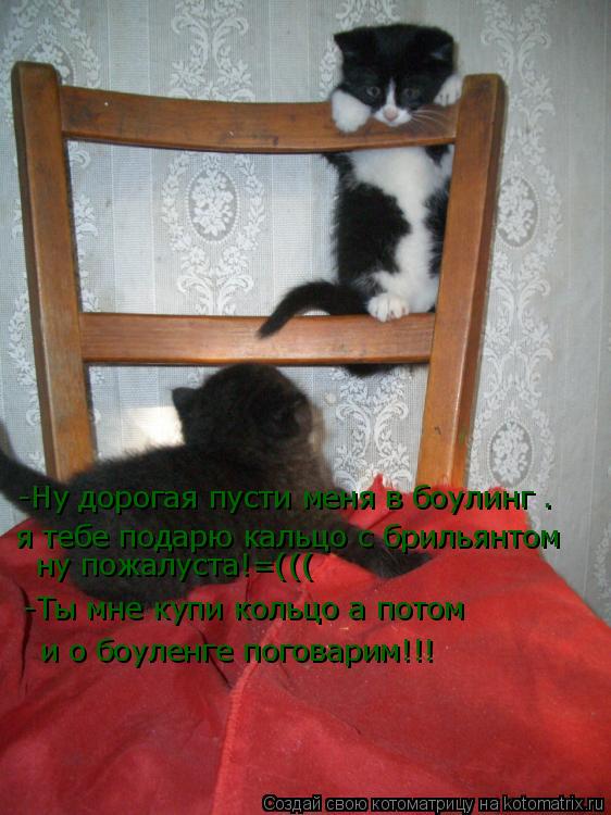 -Ну дорогая пусти меня в боулинг . я тебе подарю кальцо с брильянтом ну пожалуста!=((( -Ты мне купи к... Котоматрица: -Ну дорогая пусти меня в боулинг . я тебе подарю кальцо с брильянтом ну пожалуста!=((( -Ты мне купи кольцо а потом и о боуленге поговарим!!!