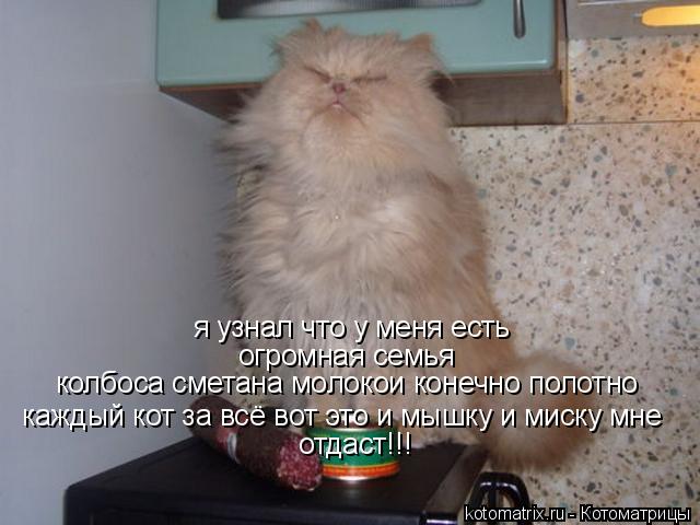 я узнал что у меня есть огромная семья колбоса сметана молокои конечно полотно каждый кот за всё вот... Котоматрица: я узнал что у меня есть огромная семья колбоса сметана молокои конечно полотно каждый кот за всё вот это и мышку и миску мне отдаст!!!