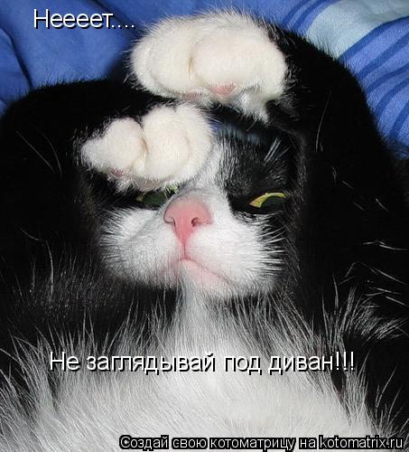 Неееет.... Не заглядывай под диван!!!... Котоматрица: Неееет.... Не заглядывай под диван!!!