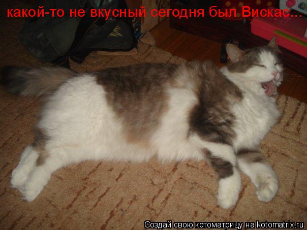 какой-то не вкусный сегодня был Вискас...... Котоматрица: какой-то не вкусный сегодня был Вискас...
