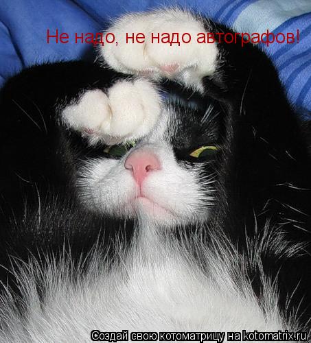 Не надо, не надо автографов!... Котоматрица: Не надо, не надо автографов!