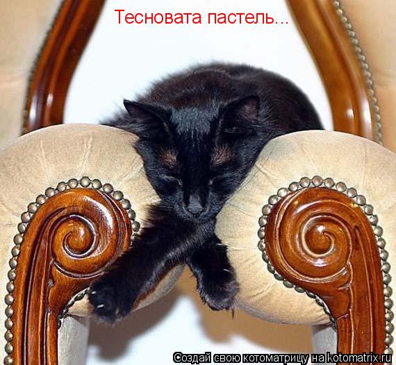 Тесновата пастель...... Котоматрица: Тесновата пастель...