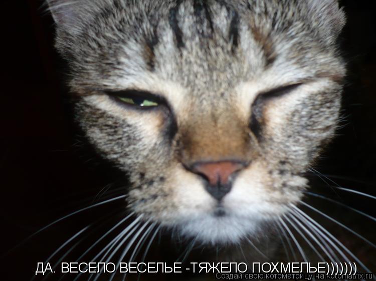 ДА. ВЕСЕЛО ВЕСЕЛЬЕ -ТЯЖЕЛО ПОХМЕЛЬЕ)))))))... Котоматрица: ДА. ВЕСЕЛО ВЕСЕЛЬЕ -ТЯЖЕЛО ПОХМЕЛЬЕ)))))))