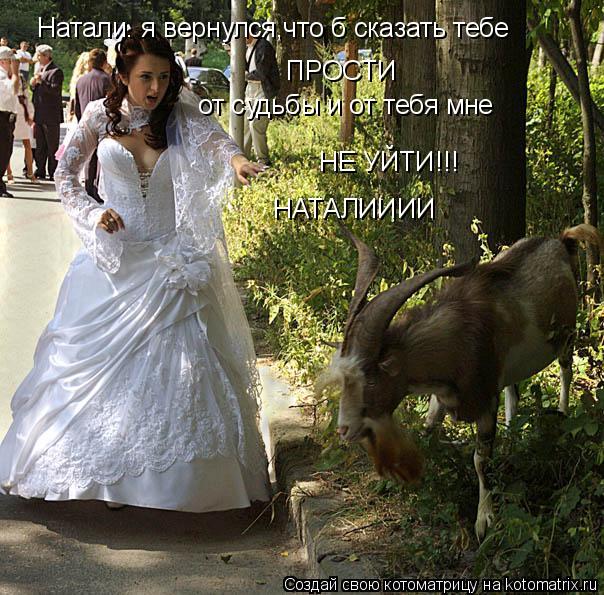 Натали. я вернулся,что б сказать тебе ПРОСТИ от судьбы и от тебя мне НЕ УЙТИ!!! НАТАЛИИИИ... Котоматрица: Натали. я вернулся,что б сказать тебе ПРОСТИ от судьбы и от тебя мне НЕ УЙТИ!!! НАТАЛИИИИ