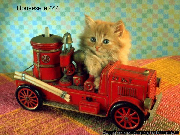 Подвезьти???... Котоматрица: Подвезьти???