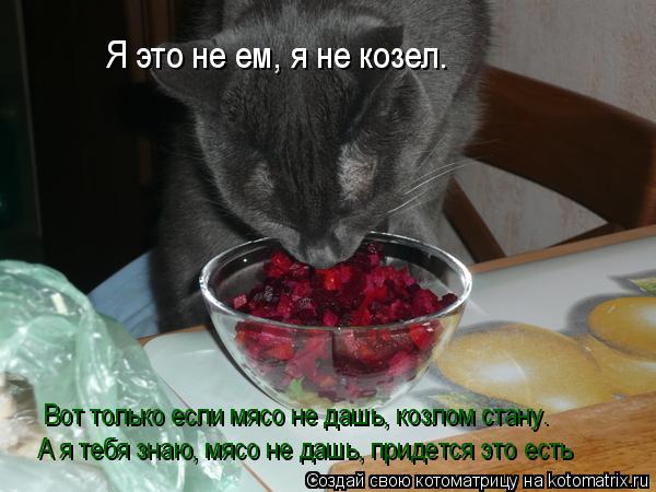 Я это не ем, я не козел. Вот только если мясо не дашь, козлом стану. А я тебя знаю, мясо не дашь, при... Котоматрица: Я это не ем, я не козел. Вот только если мясо не дашь, козлом стану. А я тебя знаю, мясо не дашь, придется это есть