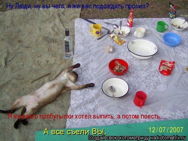 Ну Люди, ну вы чего, я же вас подождать просил? Я же всего полбутылки хотел выпить, а потом поесть...... Котоматрица: Ну Люди, ну вы чего, я же вас подождать просил? Я же всего полбутылки хотел выпить, а потом поесть.... А все съели ВЫ.