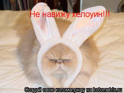Не навижу хелоуин!!!... Котоматрица: Не навижу хелоуин!!!