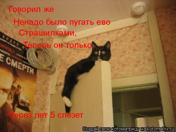 Говорил же Ненадо было пугать ево Страшилками, Теперь он только Через лет 5 слезет... Котоматрица: Говорил же Ненадо было пугать ево Страшилками, Теперь он только Через лет 5 слезет