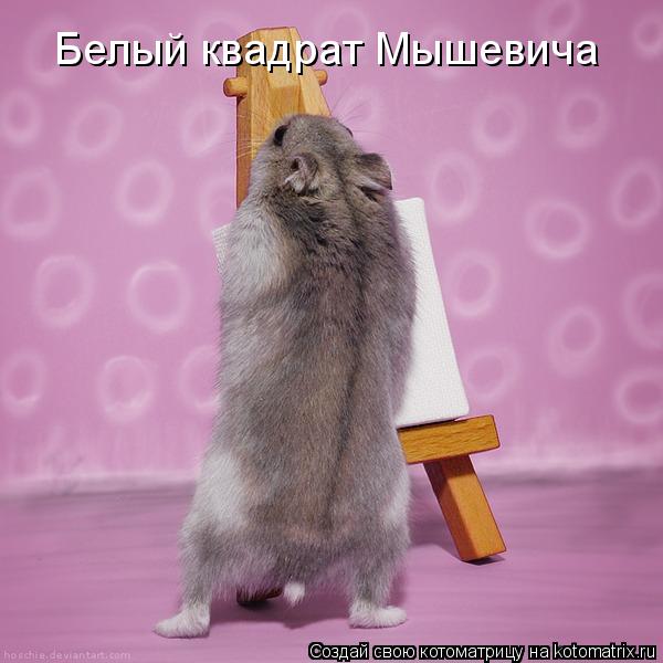 Белый квадрат Мышевича... Котоматрица: Белый квадрат Мышевича