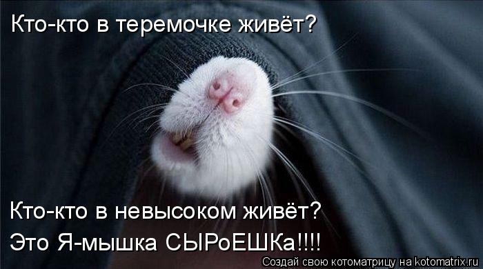 Кто-кто в теремочке живёт? Кто-кто в невысоком живёт? Это Я-мышка СЫРоЕШКа!!!!... Котоматрица: Кто-кто в теремочке живёт? Кто-кто в невысоком живёт? Это Я-мышка СЫРоЕШКа!!!!