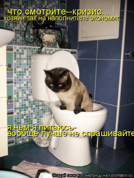 что смотрите--кризис... хозяин так на наполнителе экономит... я чем я питаюсь- вообще лучше не спраши... Котоматрица: что смотрите--кризис... хозяин так на наполнителе экономит... я чем я питаюсь- вообще лучше не спрашивайте