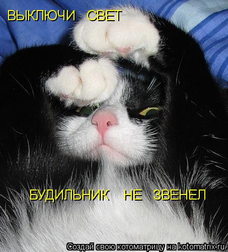 ВЫКЛЮЧИ СВЕТ БУДИЛЬНИК НЕ ЗВЕНЕЛ... Котоматрица: ВЫКЛЮЧИ СВЕТ БУДИЛЬНИК НЕ ЗВЕНЕЛ