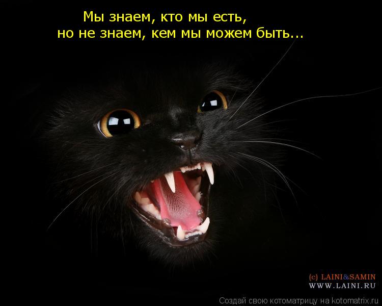Мы знаем, кто мы есть, но не знаем, кем мы можем быть...... Котоматрица: Мы знаем, кто мы есть, но не знаем, кем мы можем быть...