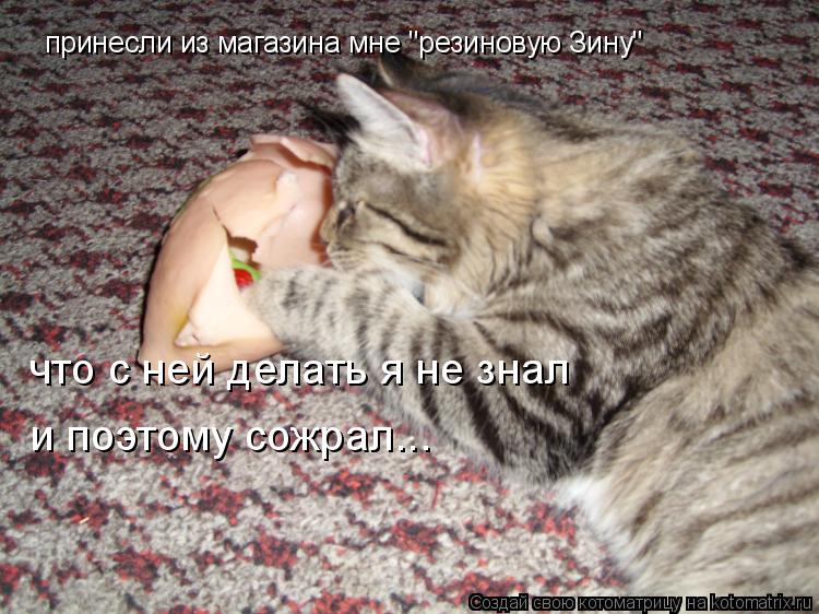 принесли из магазина мне "резиновую Зину" что с ней делать я не знал и поэтому сожрал...... Котоматрица: принесли из магазина мне "резиновую Зину" что с ней делать я не знал и поэтому сожрал...