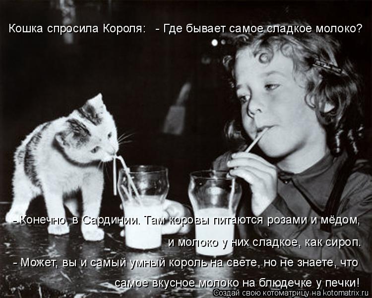 Кошка спросила Короля: - Где бывает самое сладкое молоко? - Конечно, в Сардинии. Там коровы питаютс... Котоматрица: Кошка спросила Короля: - Где бывает самое сладкое молоко? - Конечно, в Сардинии. Там коровы питаются розами и мёдом, и молоко у них сладкое, к