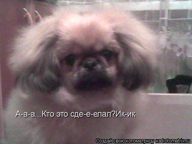 А-а-а...Кто это сде-е-елал?Ик-ик... Котоматрица: А-а-а...Кто это сде-е-елал?Ик-ик