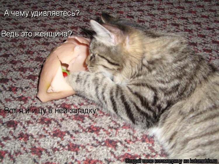 А чему удивляетесь? Ведь это женщина? Вот я и ищу в ней загадку.... Котоматрица: А чему удивляетесь? Ведь это женщина? Вот я и ищу в ней загадку.
