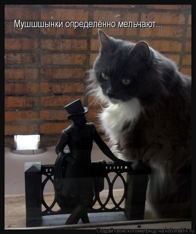 Мушшшынки определённо мельчают...... Котоматрица: Мушшшынки определённо мельчают...