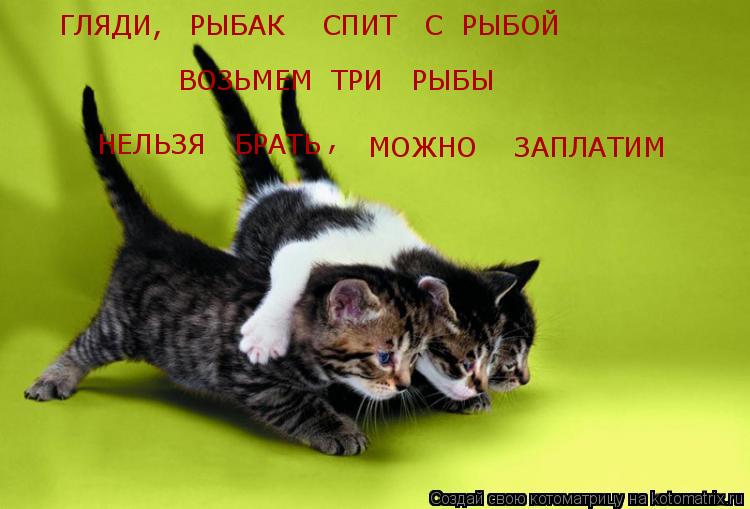 ГЛЯДИ, РЫБАК СПИТ С РЫБОЙ ВОЗЬМЕМ ТРИ РЫБЫ НЕЛЬЗЯ БРАТЬ , МОЖНО ЗАПЛАТИМ... Котоматрица: ГЛЯДИ, РЫБАК СПИТ С РЫБОЙ ВОЗЬМЕМ ТРИ РЫБЫ НЕЛЬЗЯ БРАТЬ , МОЖНО ЗАПЛАТИМ