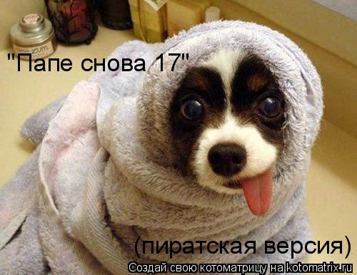 "Папе снова 17" (пиратская версия)... Котоматрица: "Папе снова 17" (пиратская версия)