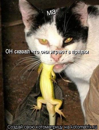 ма ОН сказал что они играют в прядки... Котоматрица: ма ОН сказал что они играют в прядки