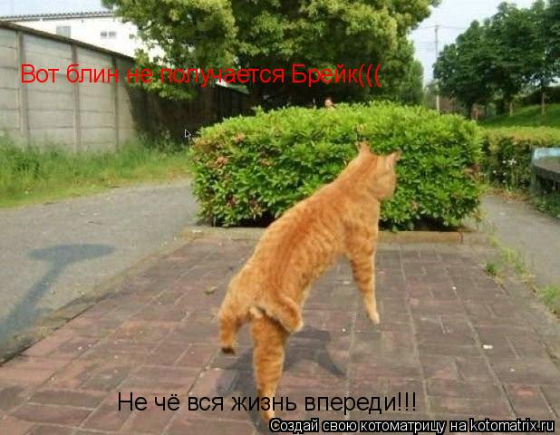 Вот блин не получается Брейк((( Не чё вся жизнь впереди!!!... Котоматрица: Вот блин не получается Брейк((( Не чё вся жизнь впереди!!!