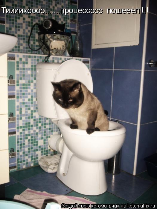 Тиииихоооо.......процессссс пошееел !!!... Котоматрица: Тиииихоооо.......процессссс пошееел !!!