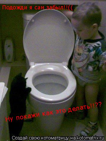 Ну покажи как это делать!!?? Подожди я сам забыл!!((... Котоматрица: Ну покажи как это делать!!?? Подожди я сам забыл!!((