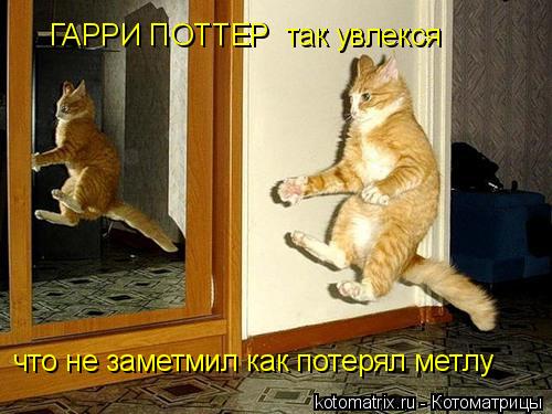 ГАРРИ ПОТТЕР так увлекся что не заметмил как потерял метлу ГАРРИ ПОТТЕР так увлекся... Котоматрица: ГАРРИ ПОТТЕР так увлекся что не заметмил как потерял метлу ГАРРИ ПОТТЕР так увлекся
