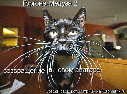 Горгона-Медуза 2 возвращение в новом аватаре... Котоматрица: Горгона-Медуза 2 возвращение в новом аватаре