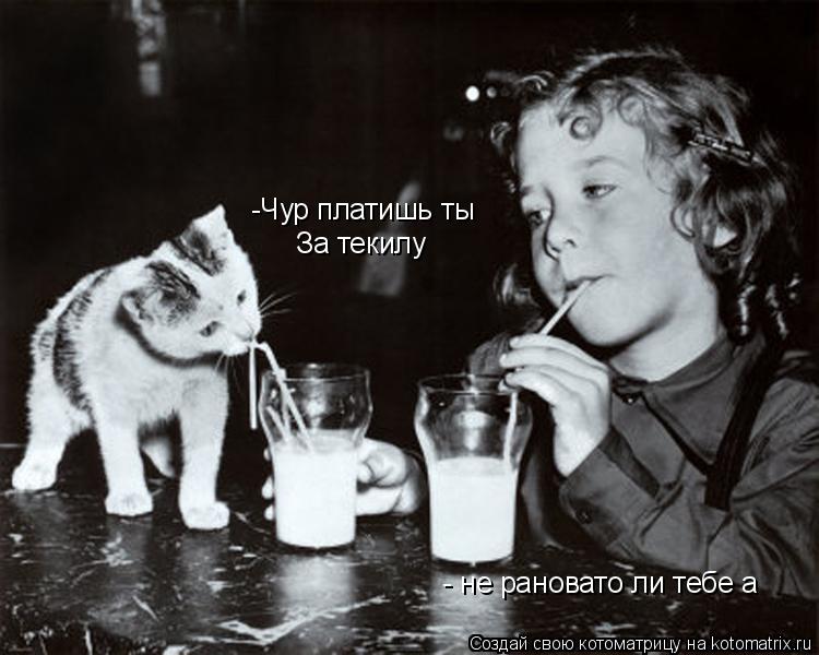 -Чур платишь ты За текилу - не рановато ли тебе а... Котоматрица: -Чур платишь ты За текилу - не рановато ли тебе а
