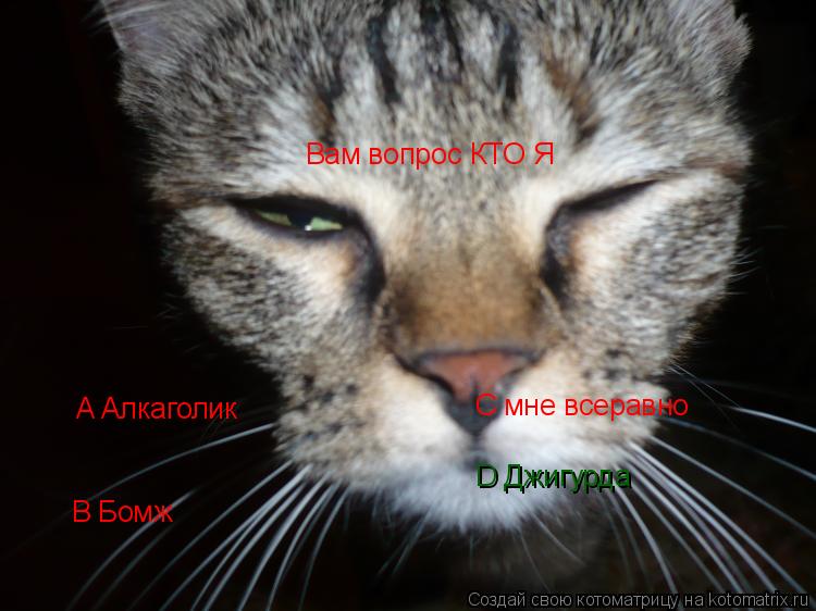 Вам вопрос КТО Я A Алкаголик В Бомж С мне всеравно D Джигурда... Котоматрица: Вам вопрос КТО Я A Алкаголик В Бомж С мне всеравно D Джигурда