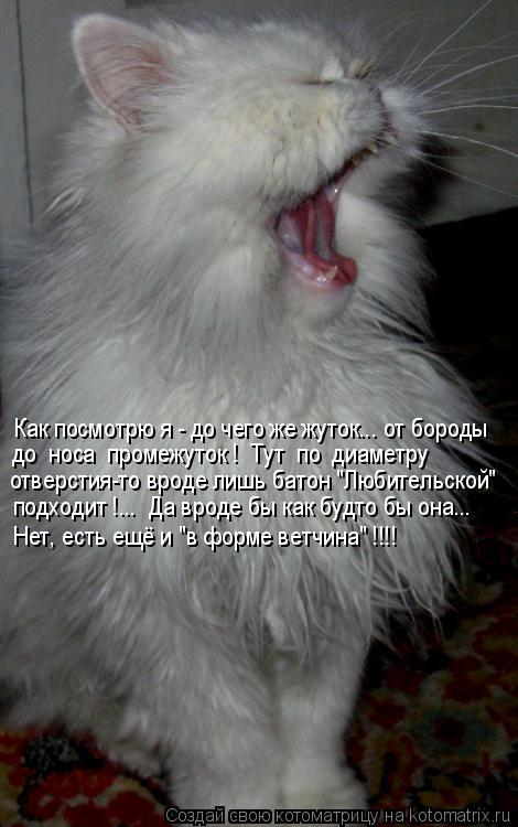 Как посмотрю я - до чего же жуток... от бороды до носа промежуток ! Тут по диаметру отверстия-... Котоматрица: Как посмотрю я - до чего же жуток... от бороды до носа промежуток ! Тут по диаметру отверстия-то вроде лишь батон "Любительской" подходит !..
