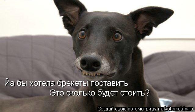 Йа бы хотела брекеты поставить Это сколько будет стоить?... Котоматрица: Йа бы хотела брекеты поставить Это сколько будет стоить?