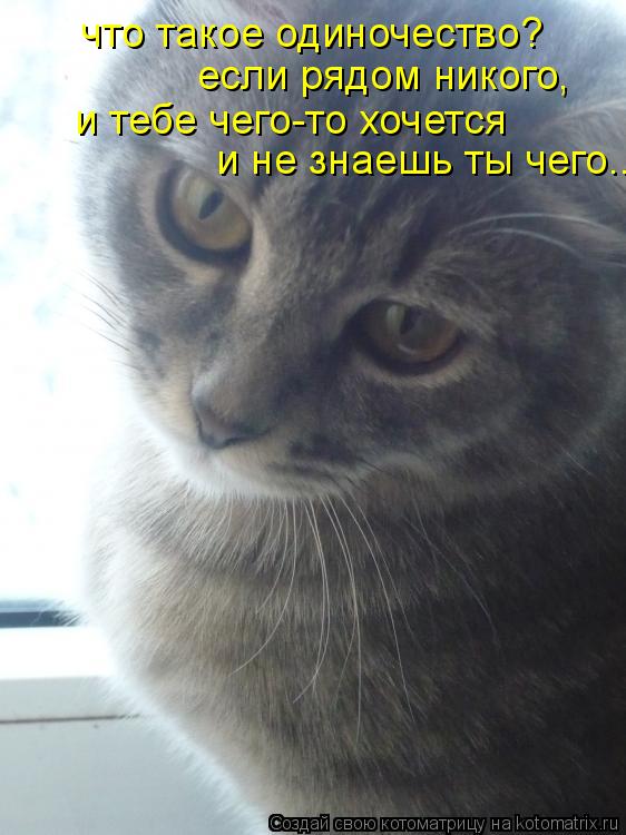 что такое одиночество? если рядом никого, и тебе чего-то хочется и не знаешь ты чего...... Котоматрица: что такое одиночество? если рядом никого, и тебе чего-то хочется и не знаешь ты чего...