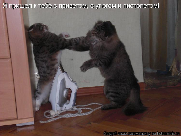 Я пришёл к тебе с приветом, с утюгом и пистолетом!... Котоматрица: Я пришёл к тебе с приветом, с утюгом и пистолетом!
