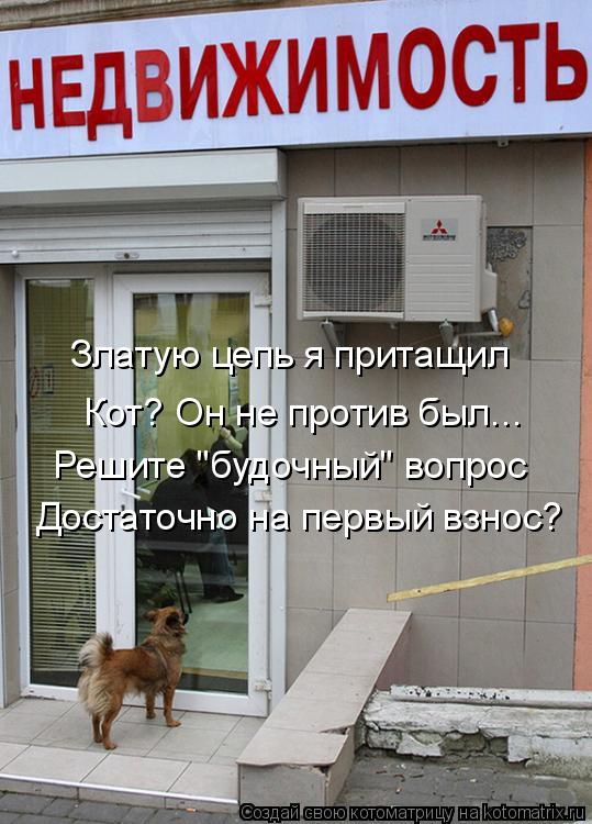 Златую цепь я притащил Кот? Он не против был... Решите "будочный" вопрос Достаточно на первый взнос... Котоматрица: Златую цепь я притащил Кот? Он не против был... Решите "будочный" вопрос Достаточно на первый взнос?