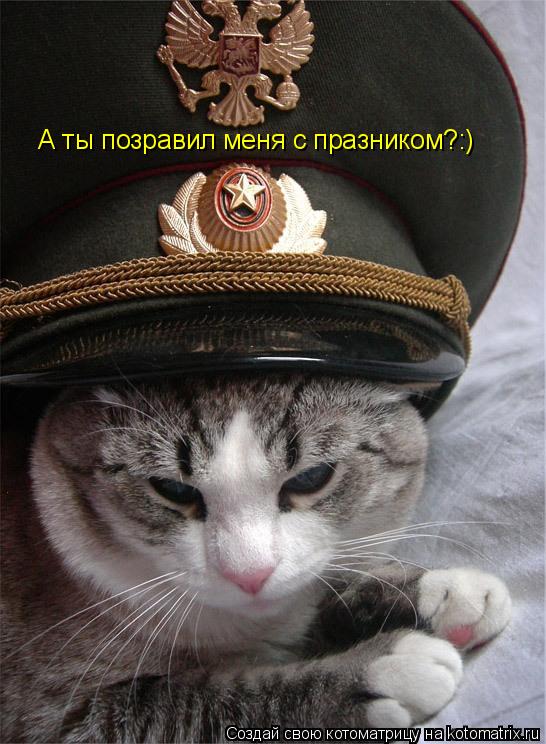 Котоматрица: А ты позравил меня с празником?:)