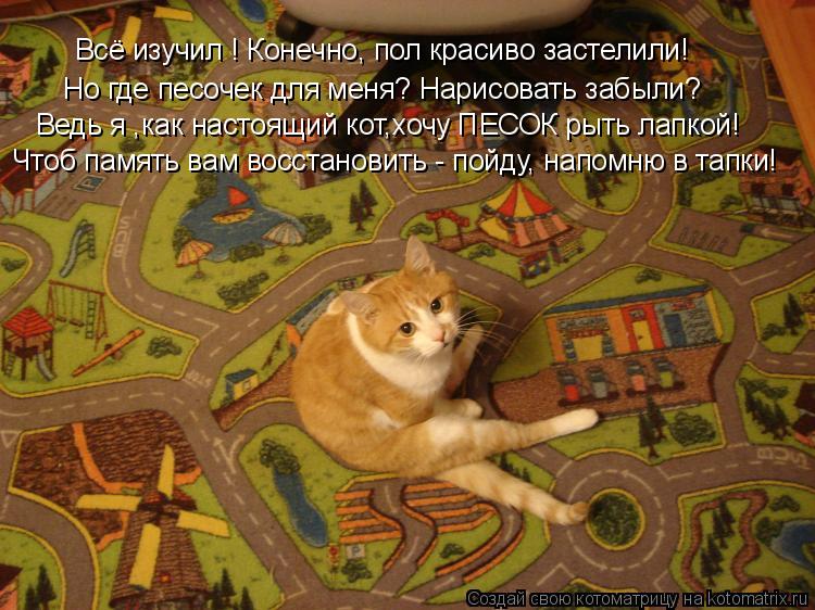 Всё изучил ! Конечно, пол красиво застелили! Но где песочек для меня? Нарисовать забыли? Ведь я ,как ... Котоматрица: Всё изучил ! Конечно, пол красиво застелили! Но где песочек для меня? Нарисовать забыли? Ведь я ,как настоящий кот,хочу ПЕСОК рыть лапкой! Что