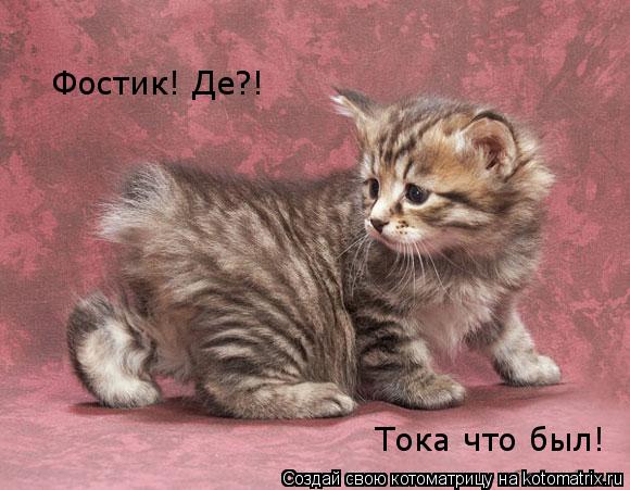 Фостик! Де?! Тока что был!... Котоматрица: Фостик! Де?! Тока что был!