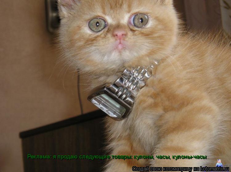Реклама: я продаю следующие товары: кулоны, часы, кулоны-часы... Котоматрица: Реклама: я продаю следующие товары: кулоны, часы, кулоны-часы