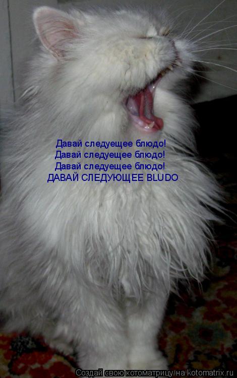 Давай следуещее блюдо! Давай следуещее блюдо! Давай следуещее блюдо! ДАВАЙ СЛЕДУЮЩЕЕ BLUDO... Котоматрица: Давай следуещее блюдо! Давай следуещее блюдо! Давай следуещее блюдо! ДАВАЙ СЛЕДУЮЩЕЕ BLUDO