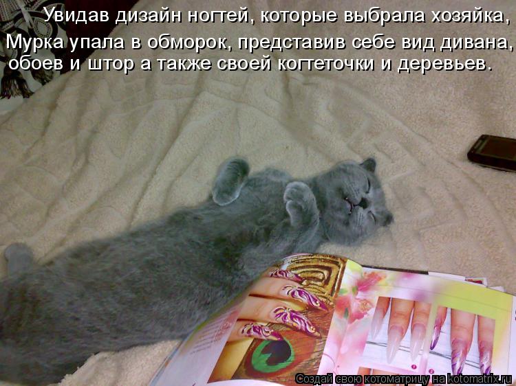 Увидав дизайн ногтей, которые выбрала хозяйка, обоев и штор а также своей когтеточки и деревьев. Мур... Котоматрица: Увидав дизайн ногтей, которые выбрала хозяйка, обоев и штор а также своей когтеточки и деревьев. Мурка упала в обморок, представив себе вид