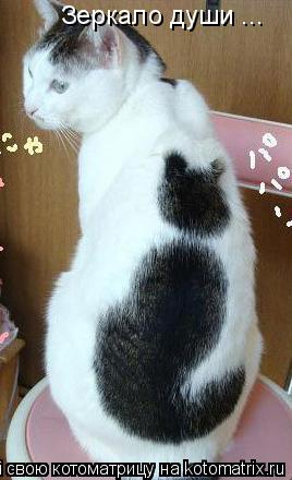 Зеркало души ...... Котоматрица: Зеркало души ...