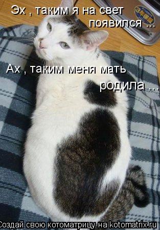 Эх , таким я на свет появился ... Ах , таким меня мать родила ...... Котоматрица: Эх , таким я на свет появился ... Ах , таким меня мать родила ...